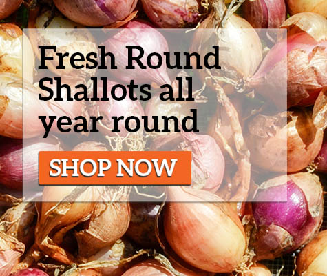 Parrish - Pickling Shallots Available All Year