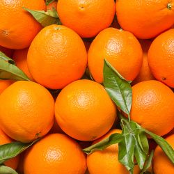 Seville Oranges