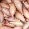 Banana Shallots Medium  - 2