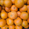 Seville Oranges (Organic) - 1