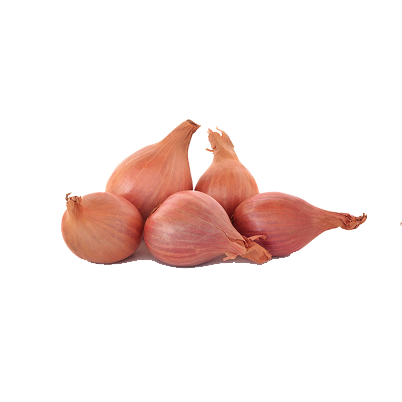  Shallots, 5 Pound, Freshly Harvested, Large to Medium