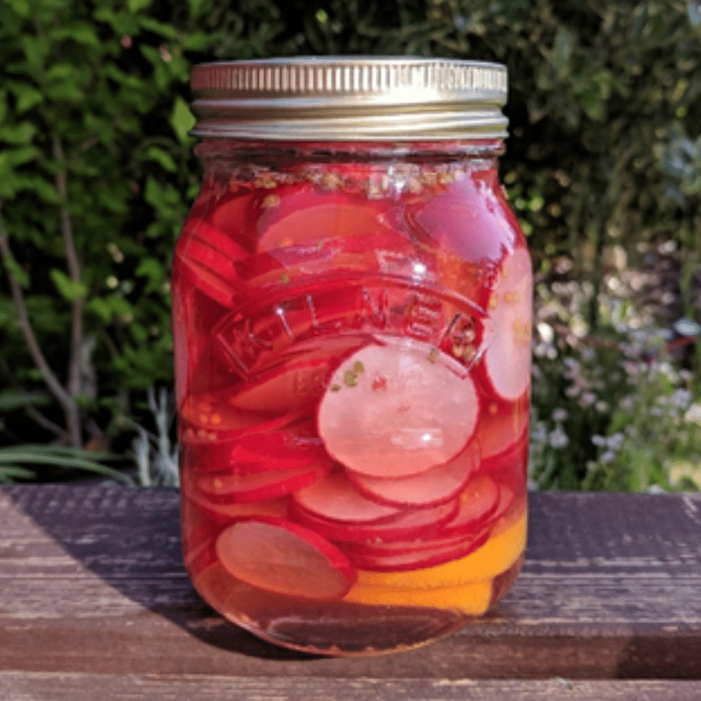 Pickled Radish